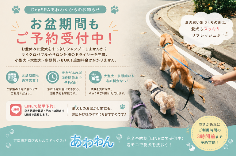 あわわん2026年8月8日 16_08_05