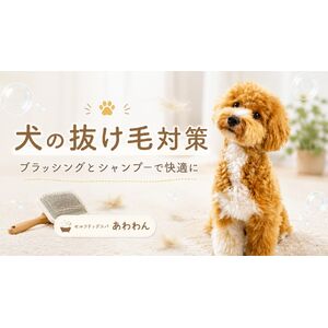 犬の抜け毛対策