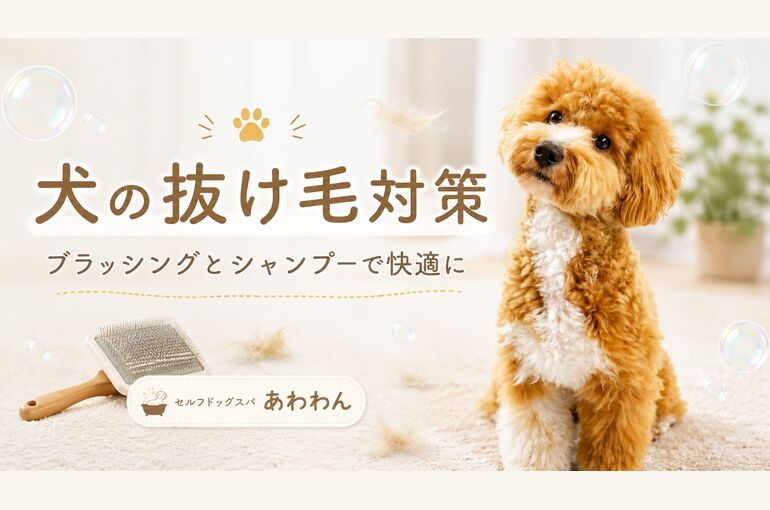 犬の抜け毛対策